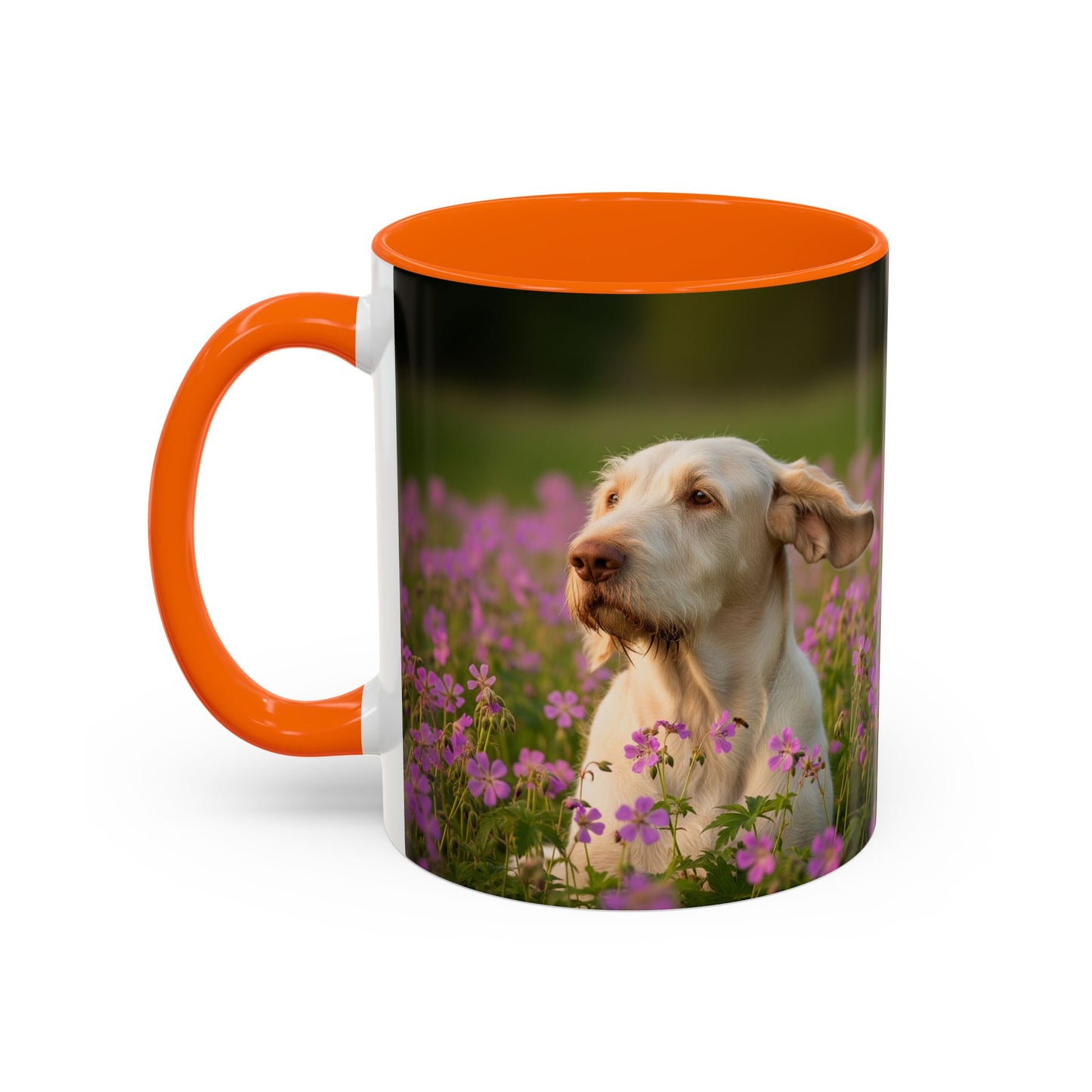 Spinone Italiano Accent Coffee Mug - Perfect Gift for Dog Lovers
