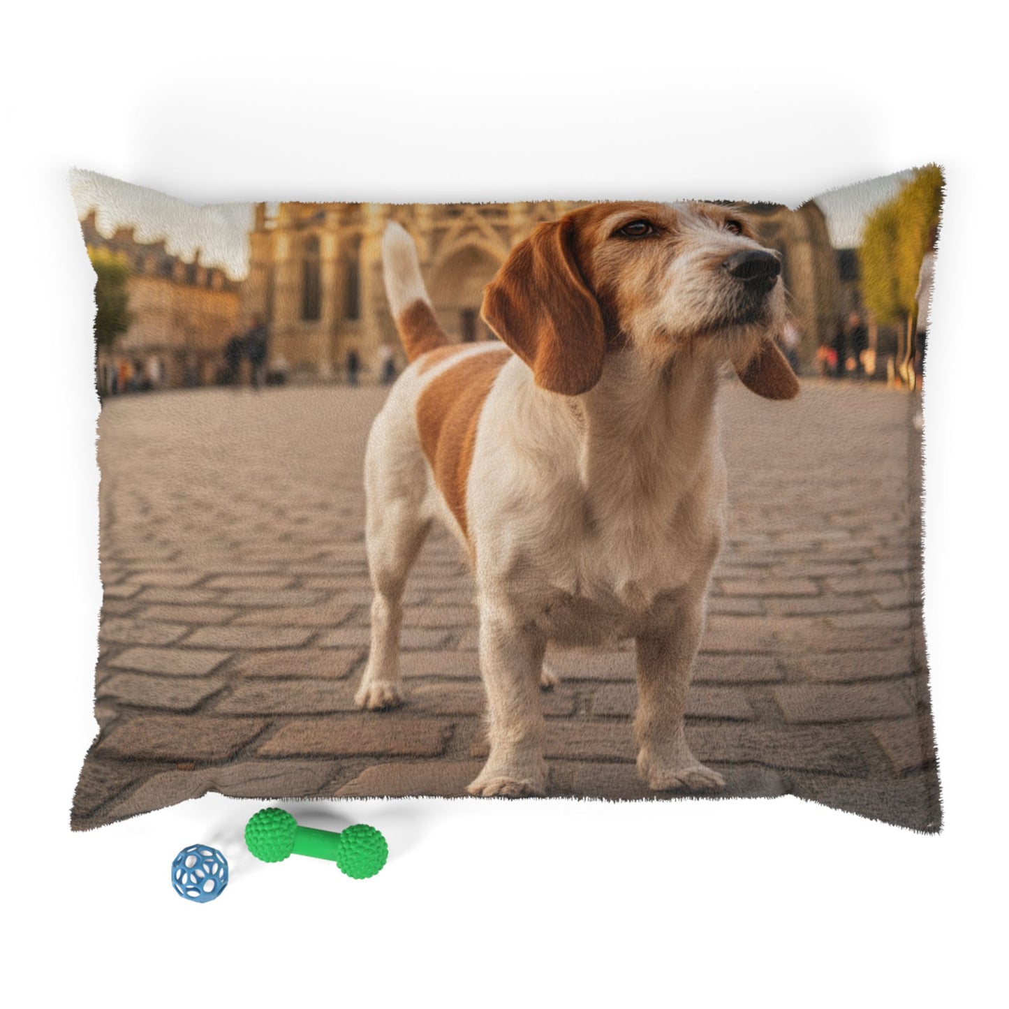 Petit Basset Griffon Pet Bed