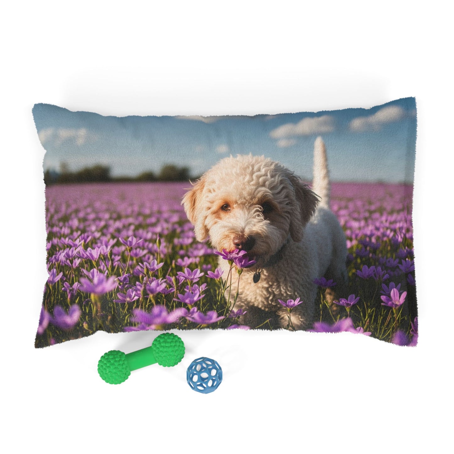 Lagotto Romagnolo Pet Bed