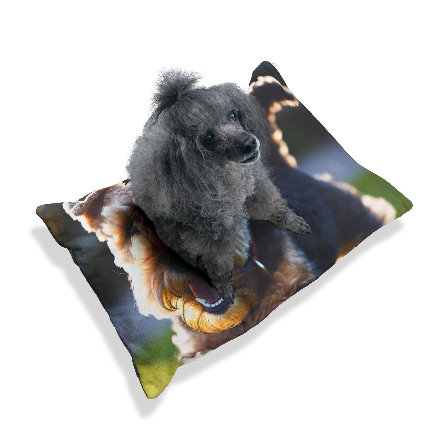 Lakeland Terrier Pet Bed