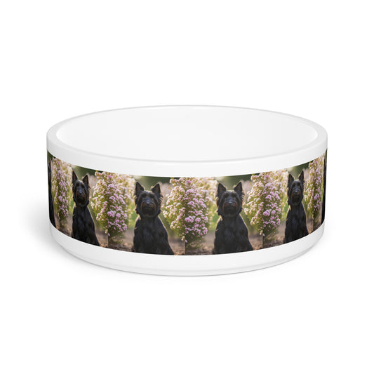 Australian Silky Terrier Pet Bowl