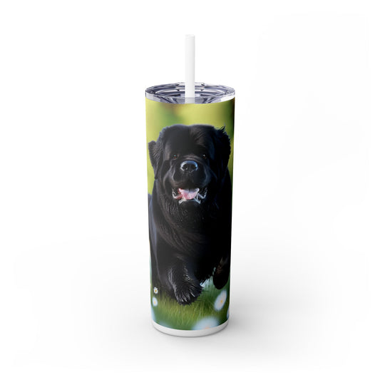 Newfoundland Skinny Tumbler with Straw, 20oz