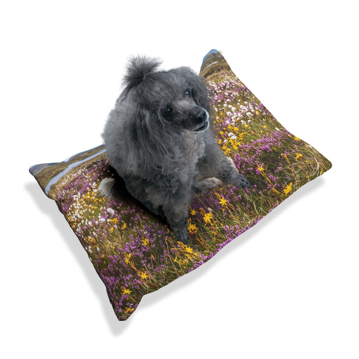 Border Collie Pet Bed