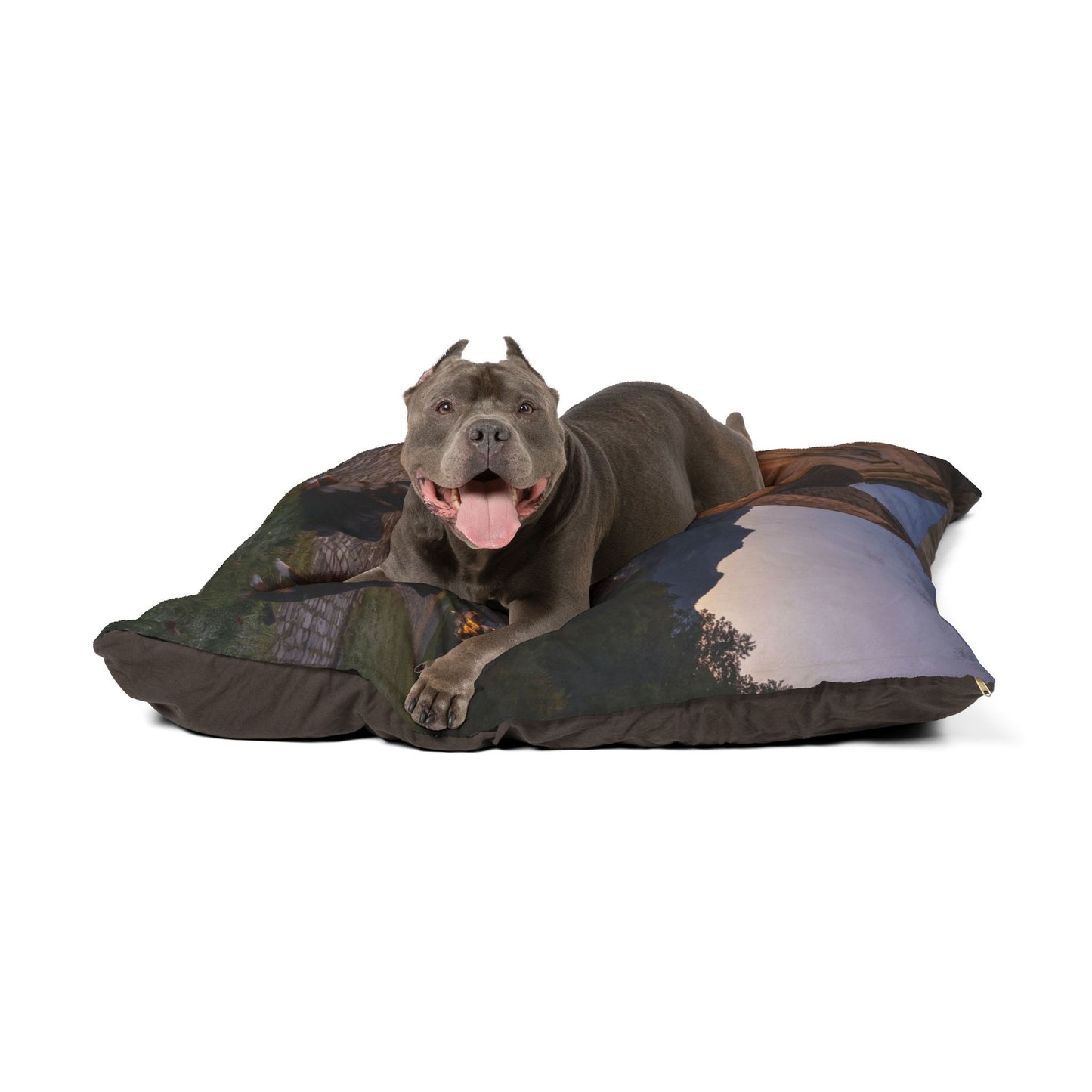 Sennenhund Pet Bed