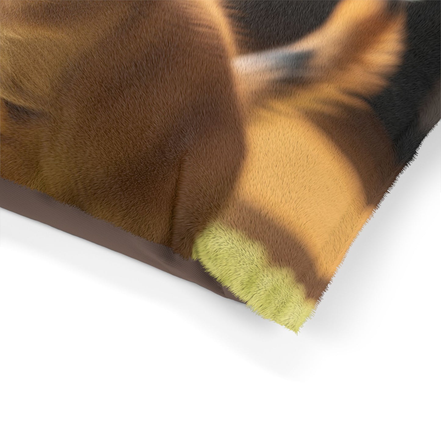 Toi Leo Pet Bed