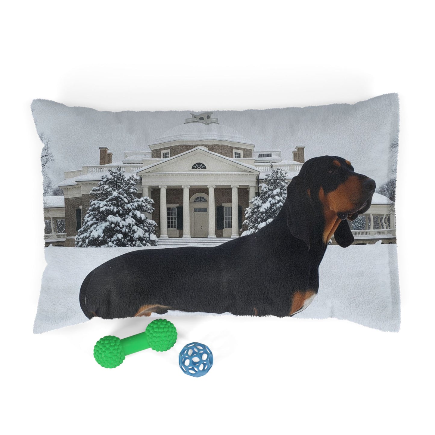Black and Tan Hound Pet Bed