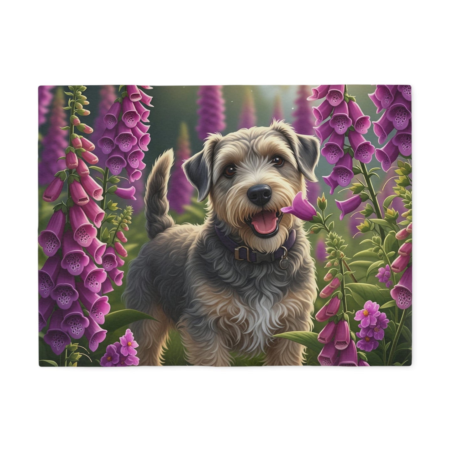 Dandie Dinmont Terrier Sweatshirt Blanket