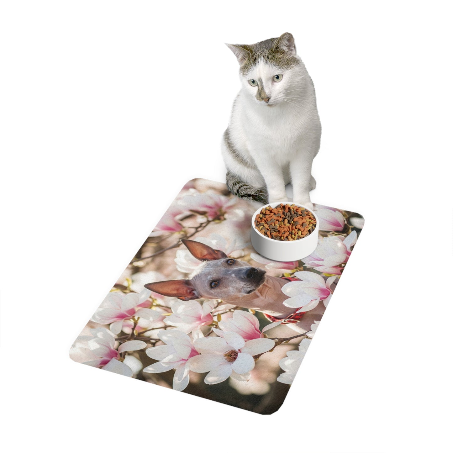 Pet Food Mat (12x18) - American Hairless Terrier