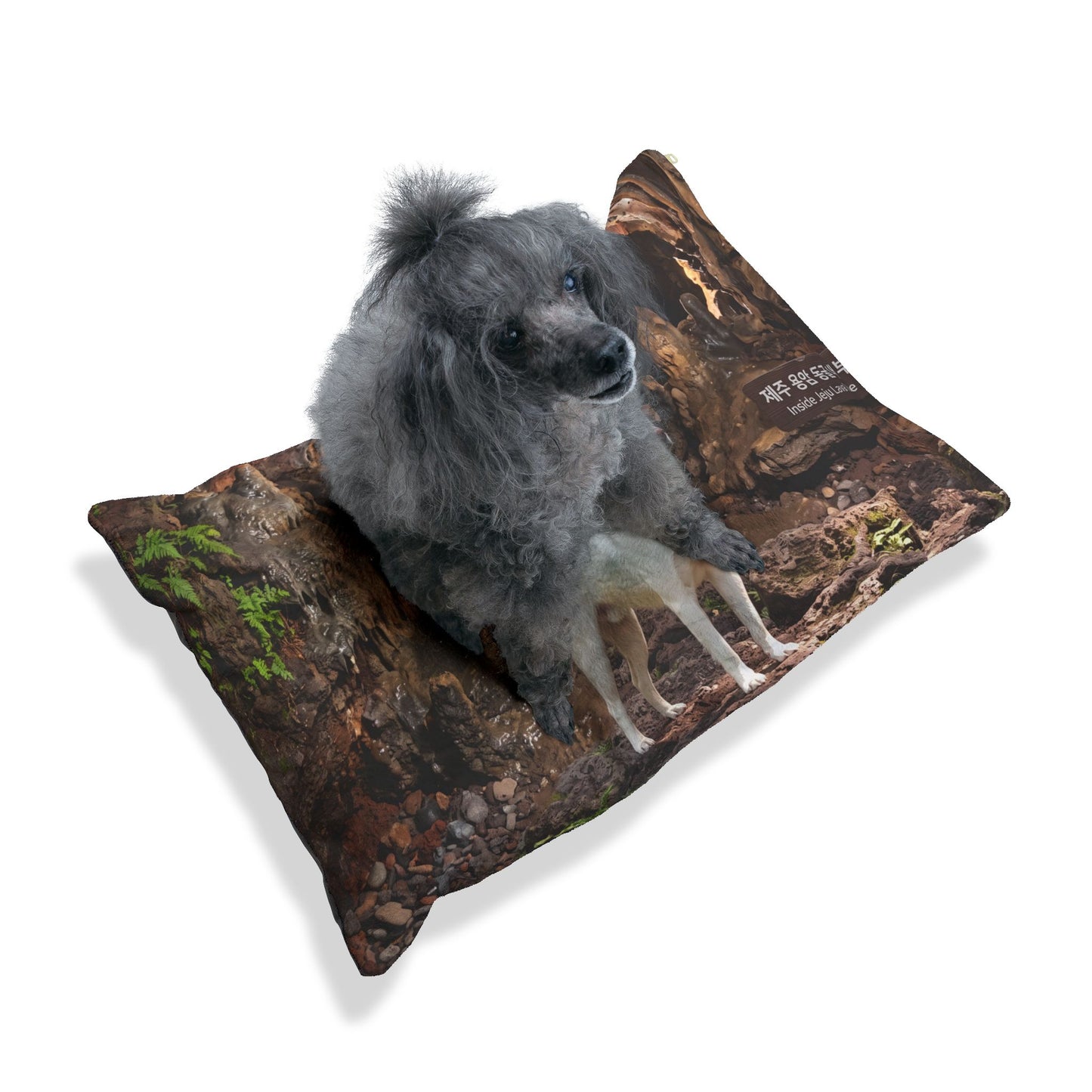 Korean Jindo Dog Pet Bed
