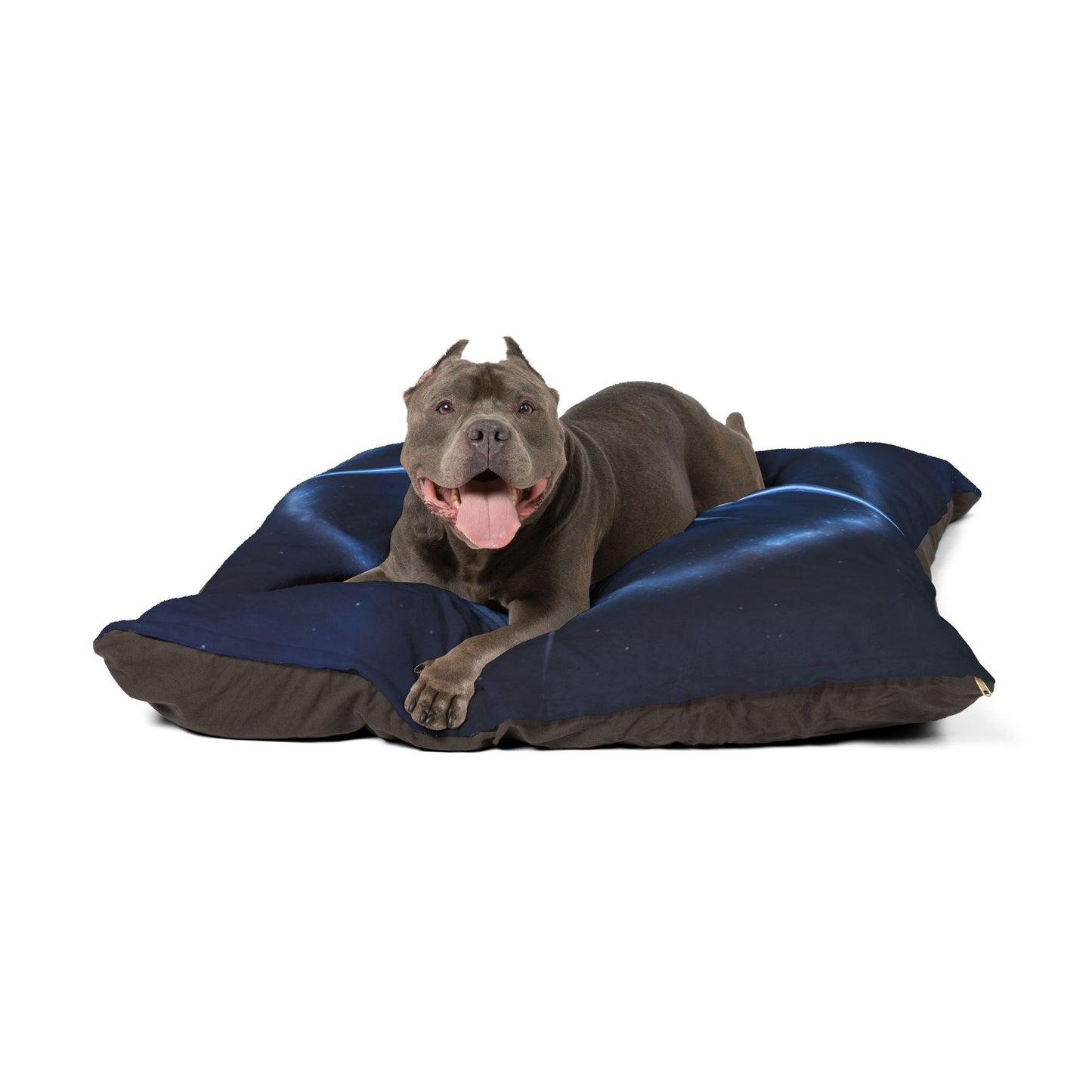 North Star Pet Bed