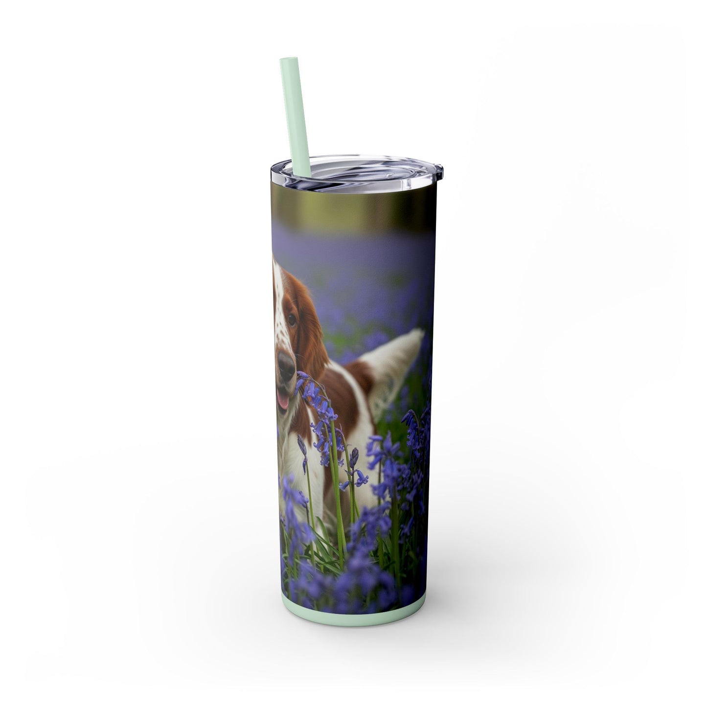 Welsh Springer Spaniel Skinny Tumbler with Straw, 20oz
