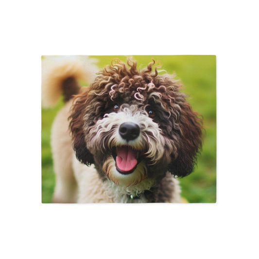 Spanish Water Dog Sweatshirt Blanket