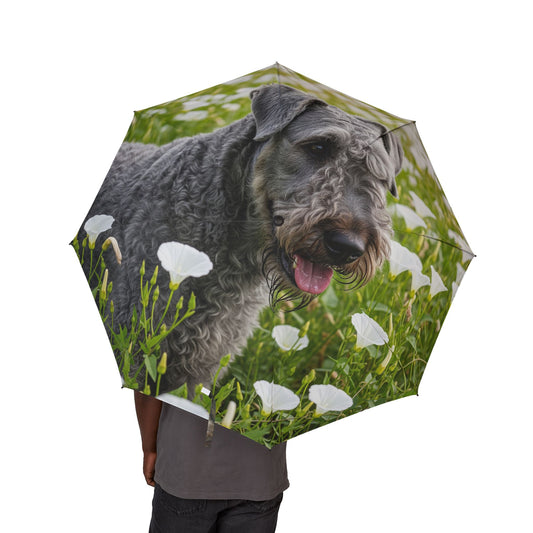 Kerry Blue Terrier Semi-Automatic Foldable Umbrella
