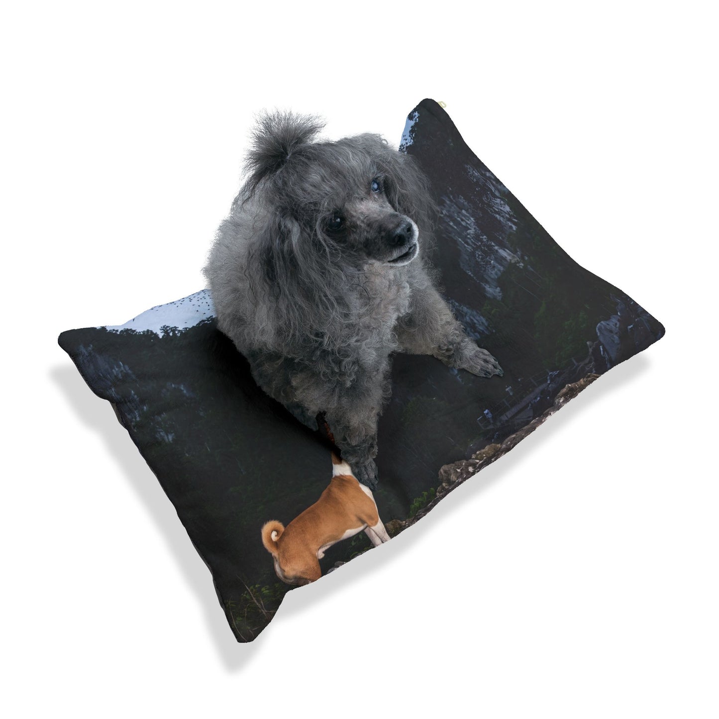 Telomian Pet Bed