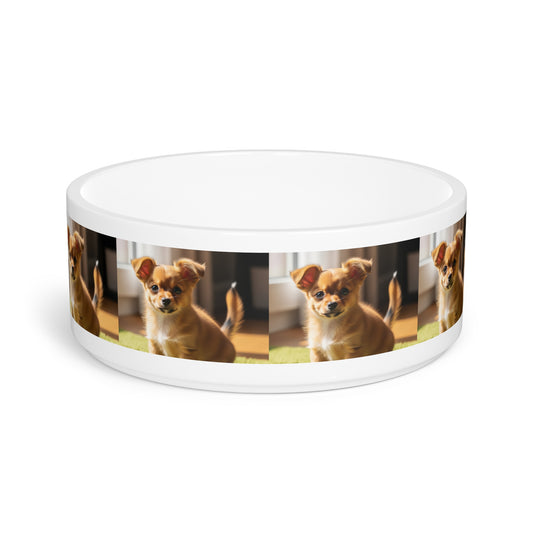 Toi Leo Pet Bowl