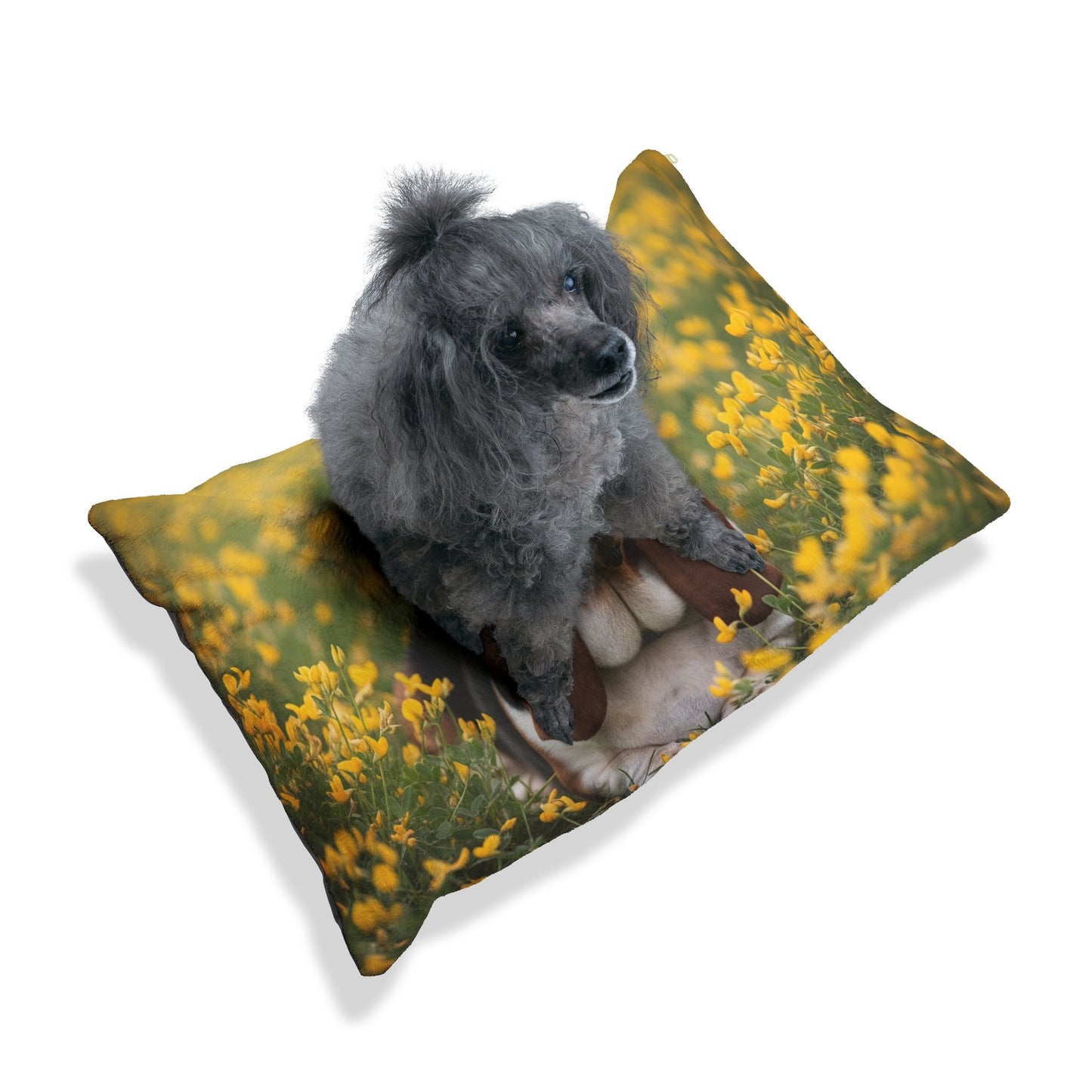 Basset Hound Pet Bed