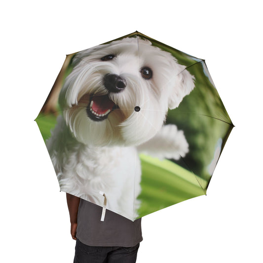 Sealyham Terrier Semi-Automatic Foldable Umbrella