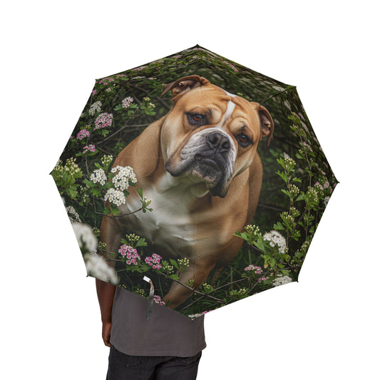 Olde English Bulldogge Semi-Automatic Foldable Umbrella