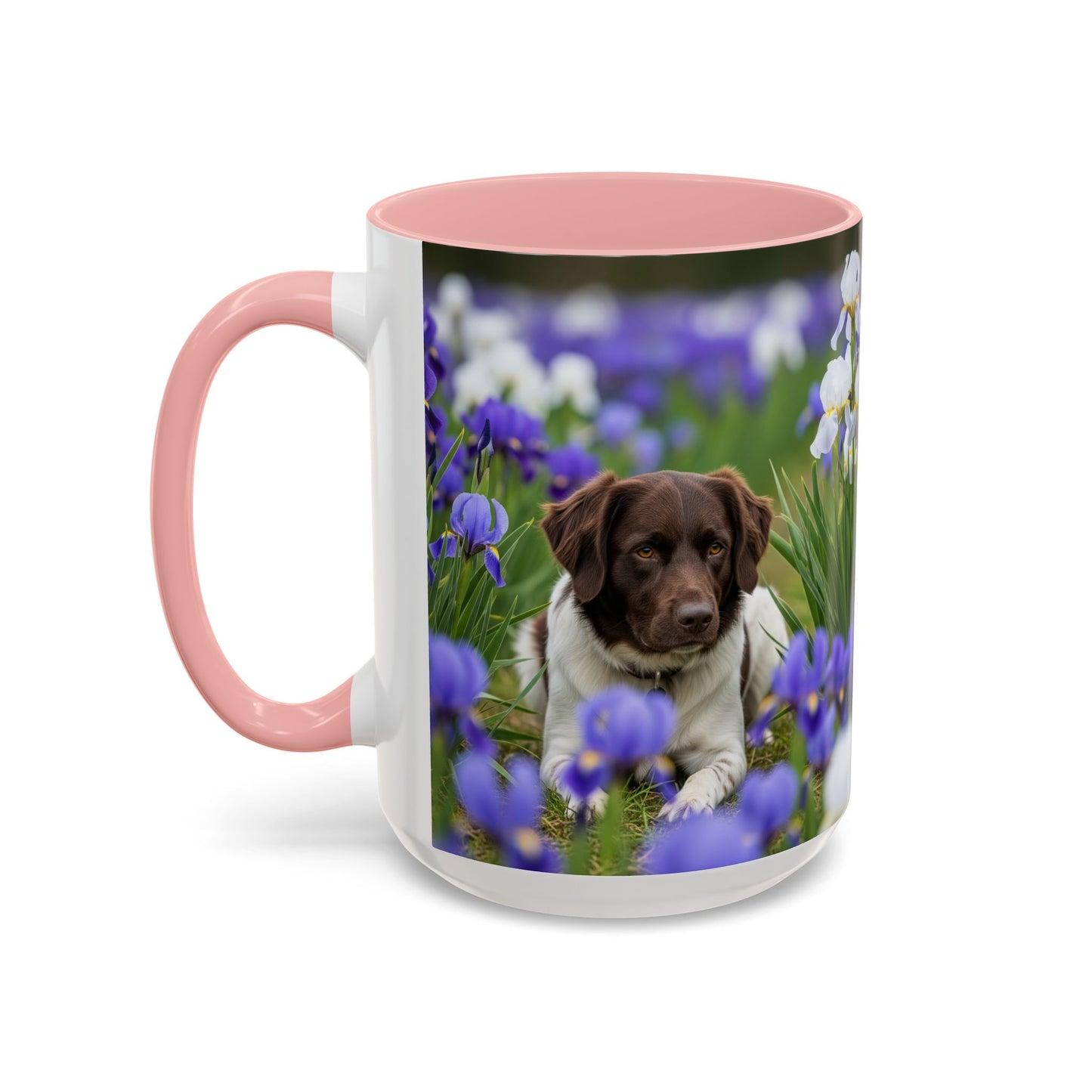 Mug Stabyhouns Accent - Cadeau idéal pour les amoureux des chiens