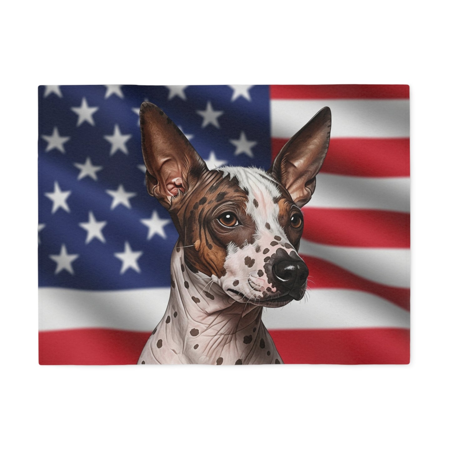 American Hairless Terrier Patriotic Blanket