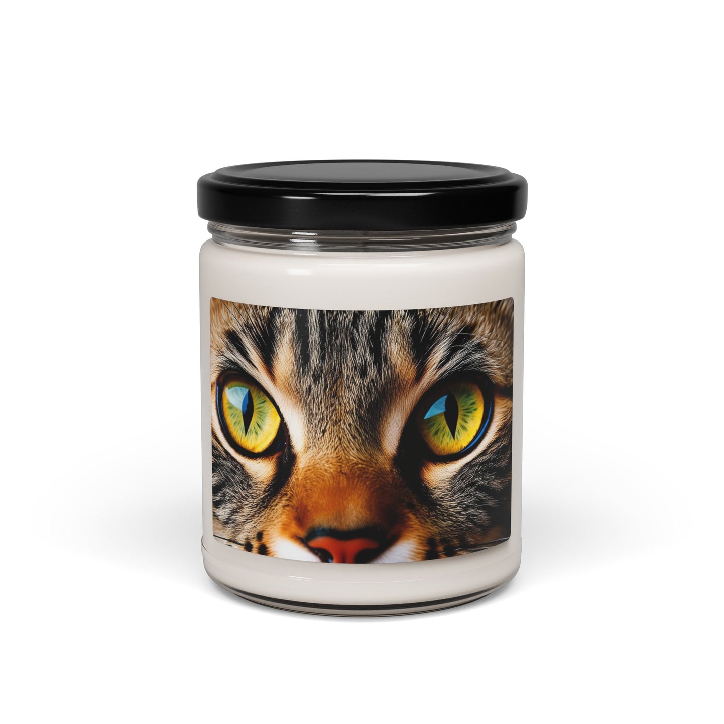 Close Up of a Cat's Eye- Scented Soy Candle, 9oz