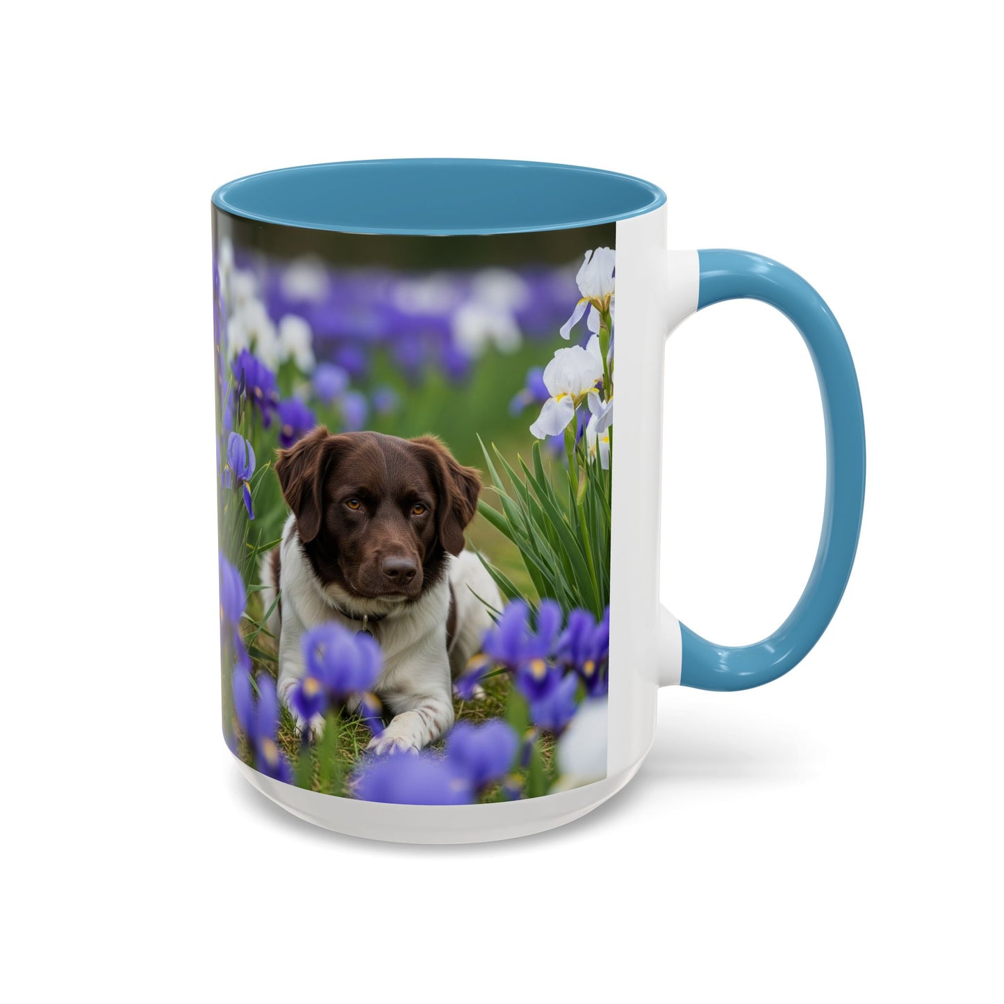Mug Stabyhouns Accent - Cadeau idéal pour les amoureux des chiens