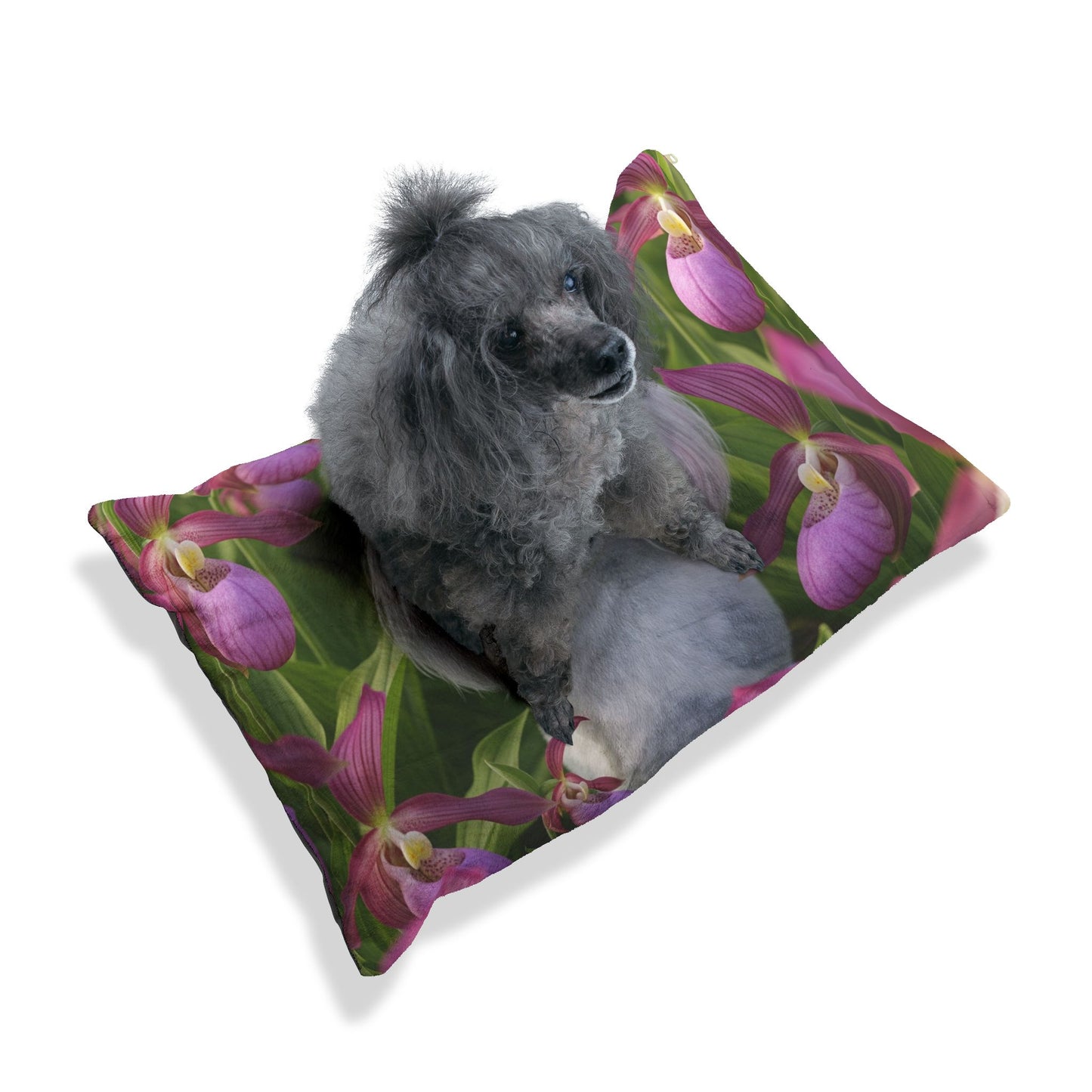 Toy Poodle Pet Bed