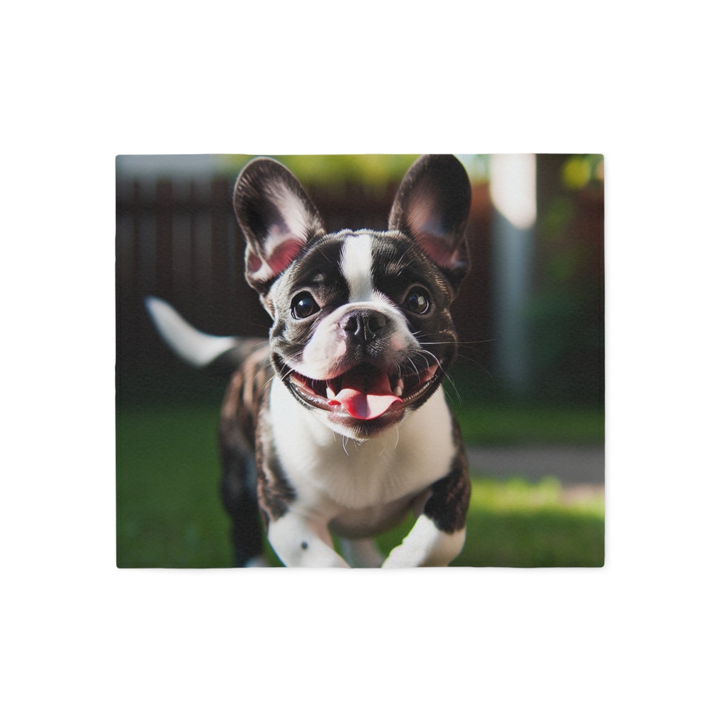 Frenchton Sweatshirt Blanket