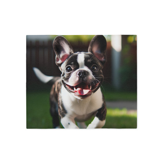 Frenchton Sweatshirt Blanket