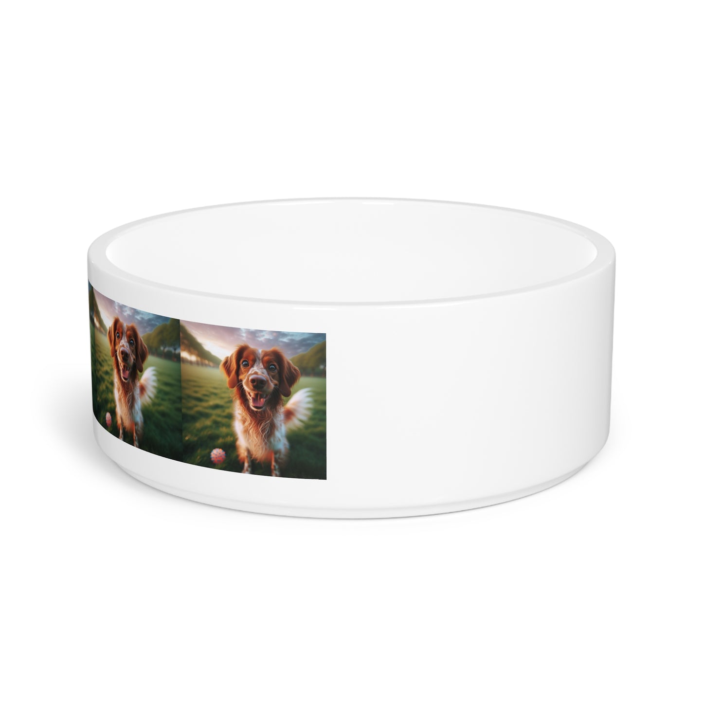 Brittany Dog Pet Bowl