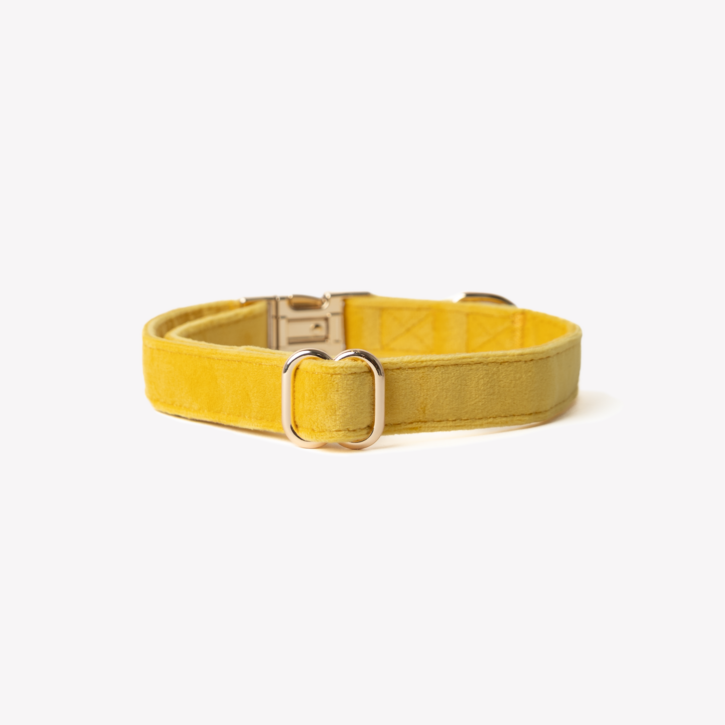 Collier pour chien en velours « jaune »