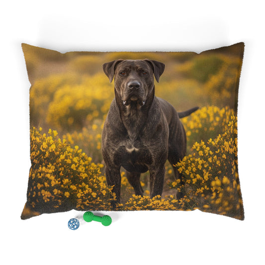Rafeiro do Alentejo Pet Bed