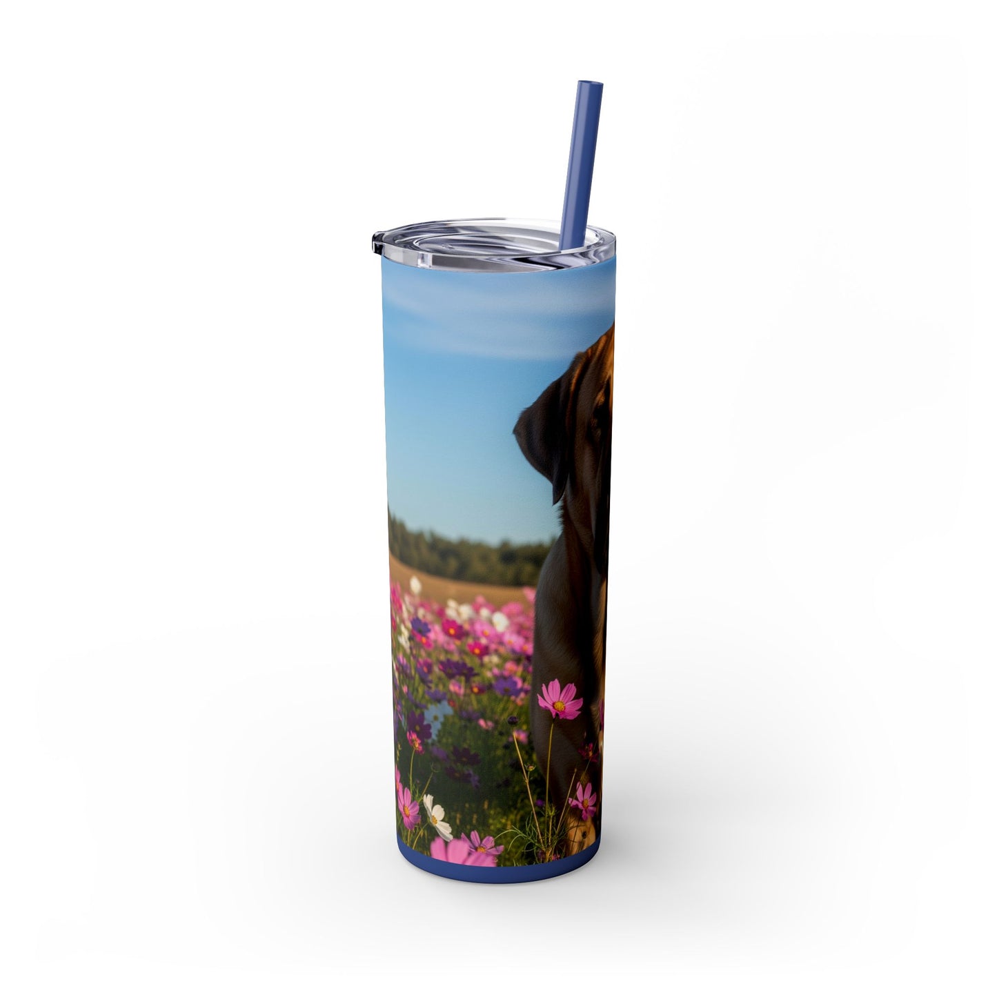 Spanish Mastiff Skinny Tumbler with Straw, 20oz