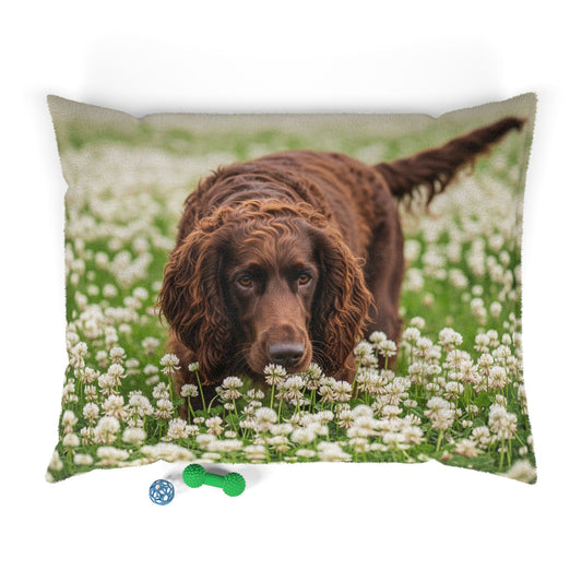 Irish Water Spaniel Pet Bed