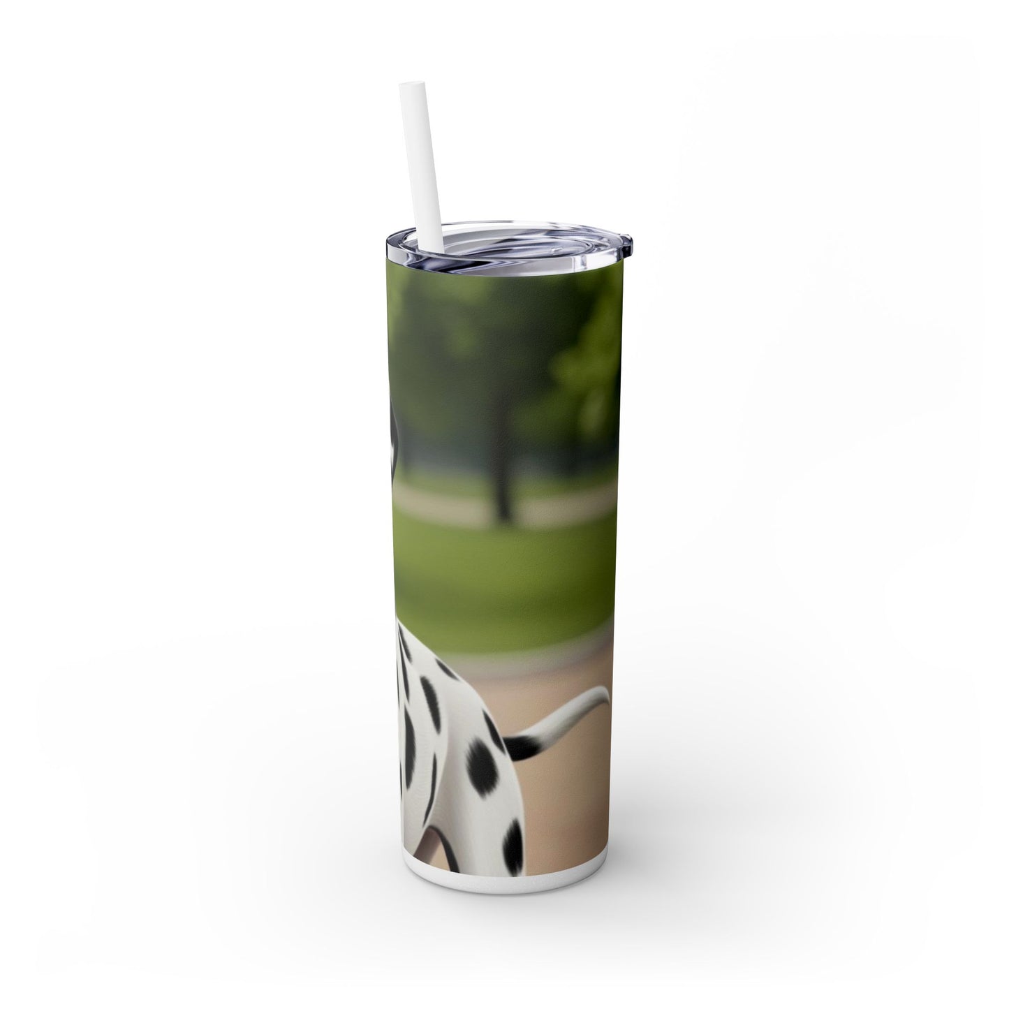 Skinny Tumbler with Straw – 20 oz Stainless Steel Cup
