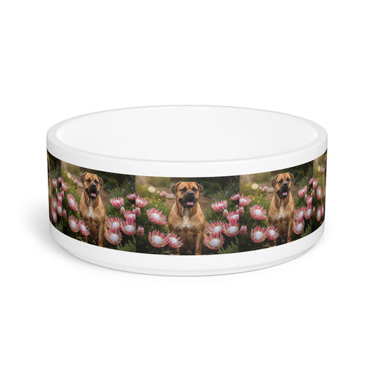 Boerboels Pet Bowl