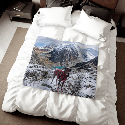 Peruvian Hairless Dog Blanket