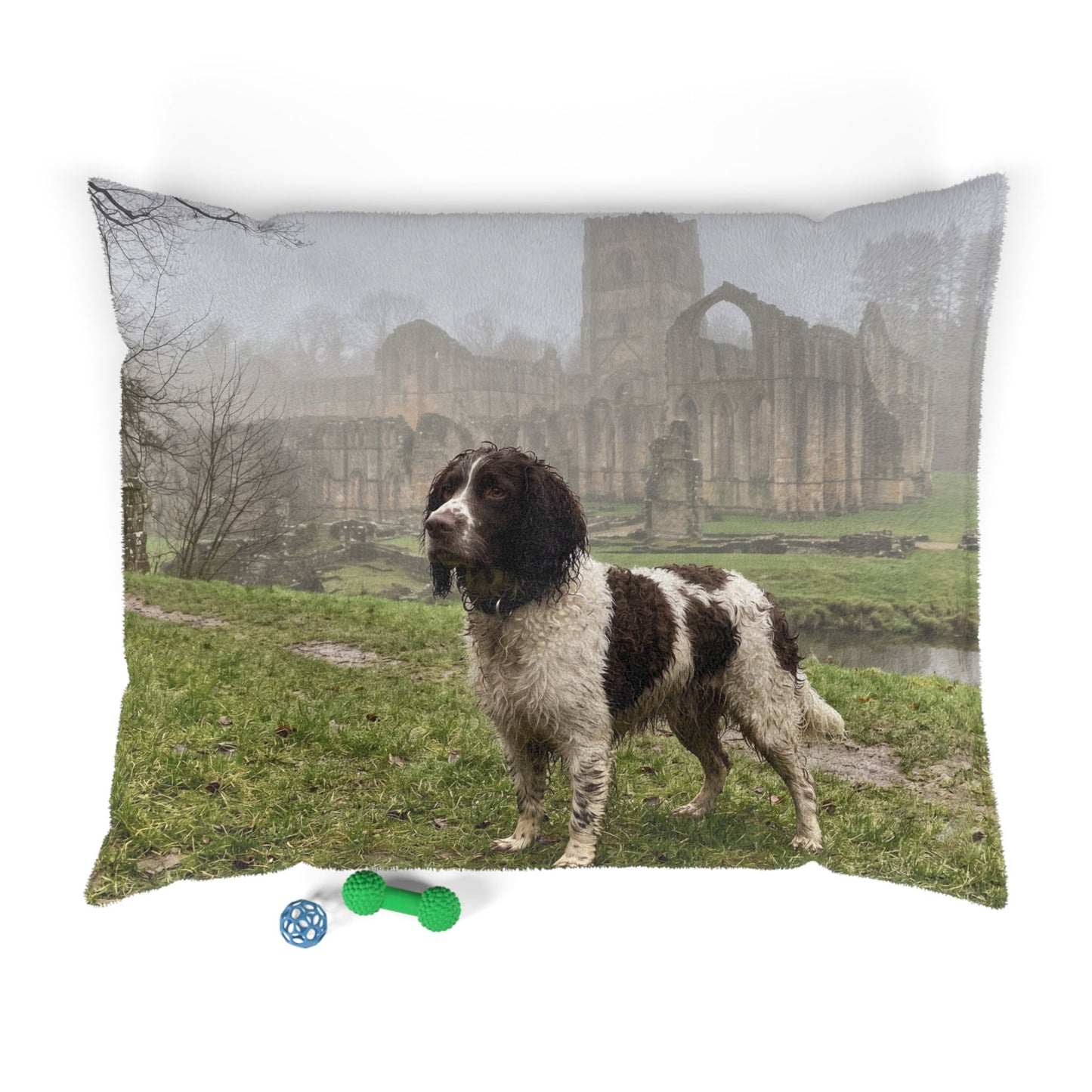 English Water Spaniel Pet Bed