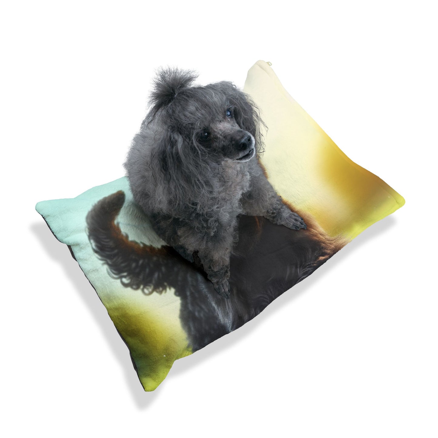Russian Black Terrier Pet Bed