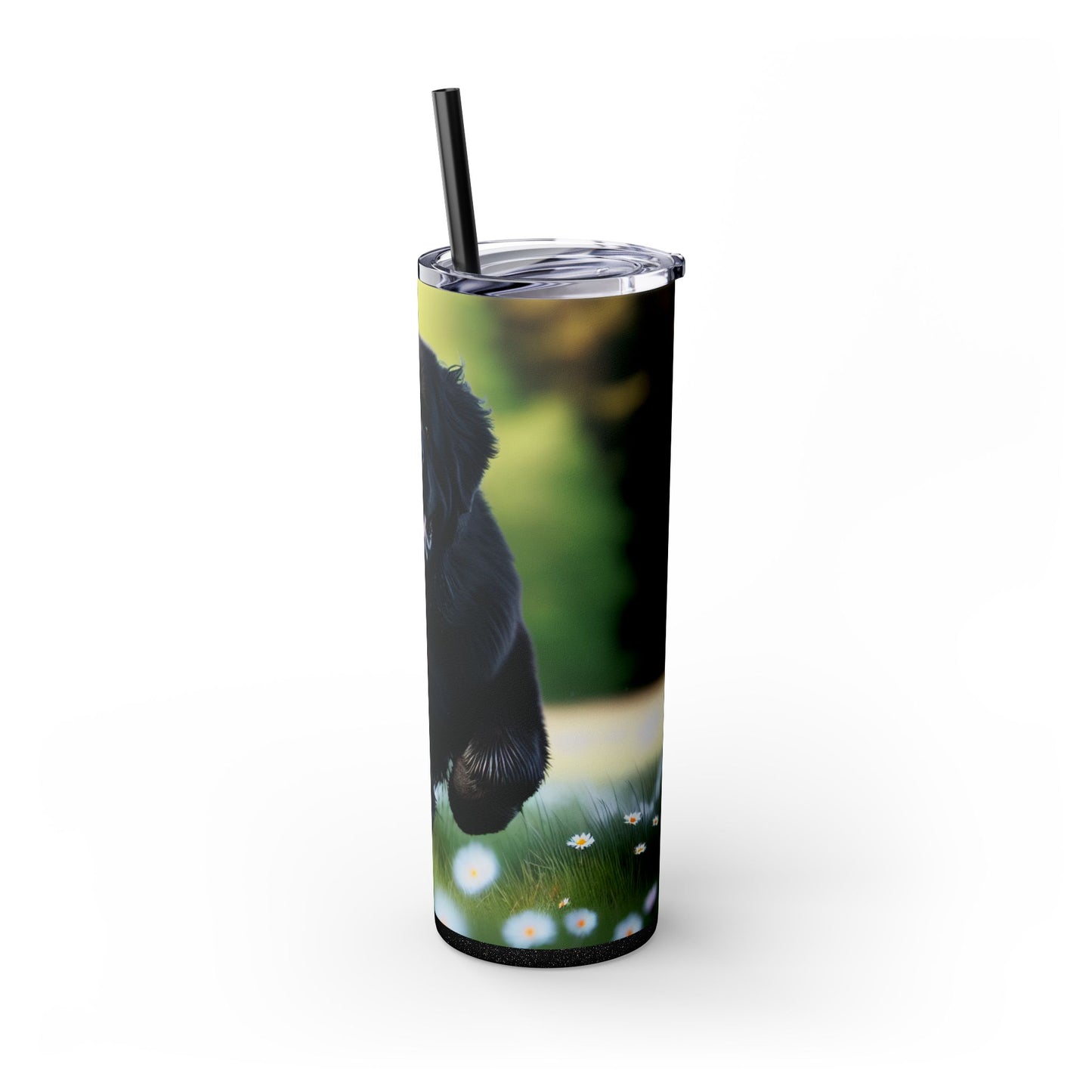Newfoundland Skinny Tumbler with Straw, 20oz