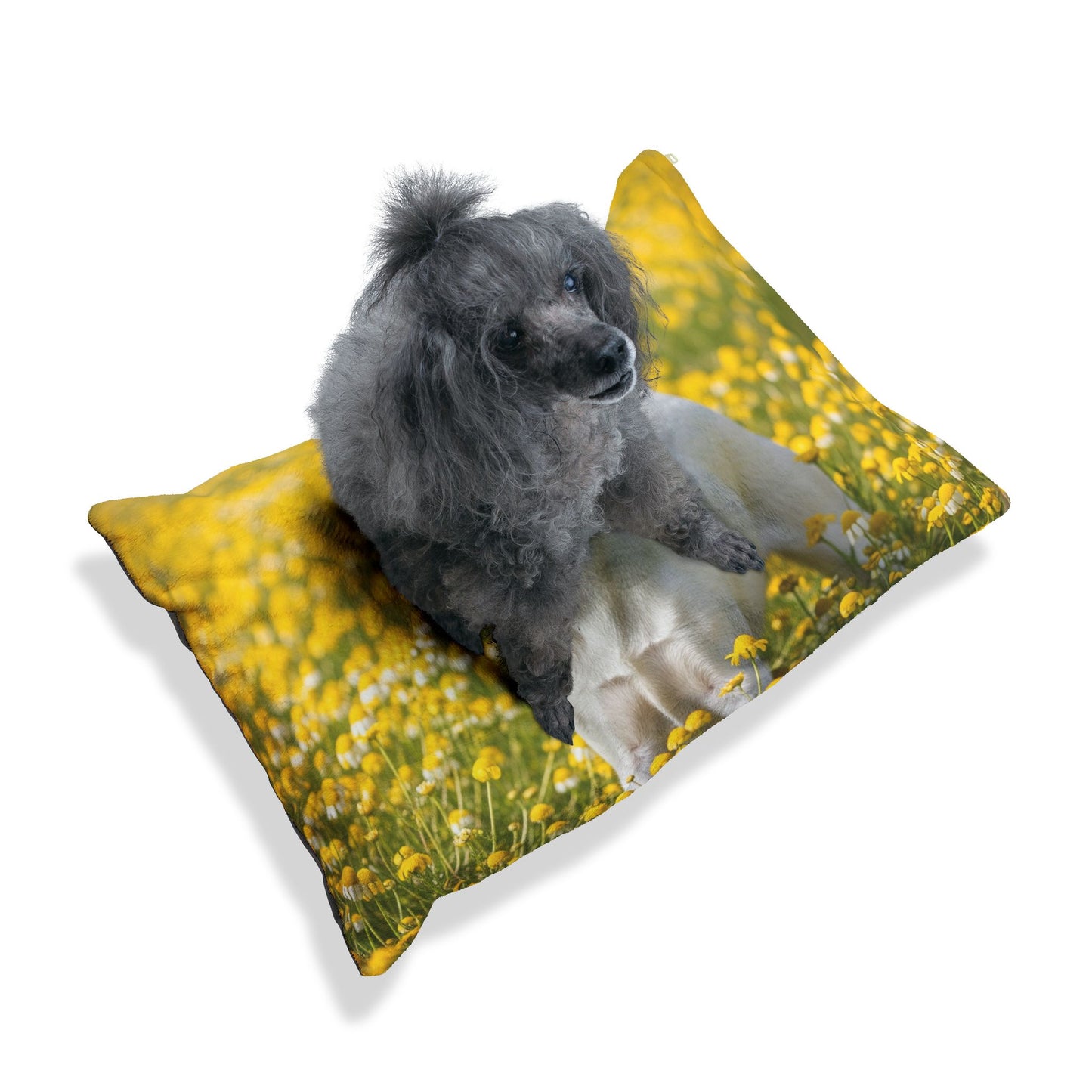 Cama para mascotas Fox Terrier de pelo liso