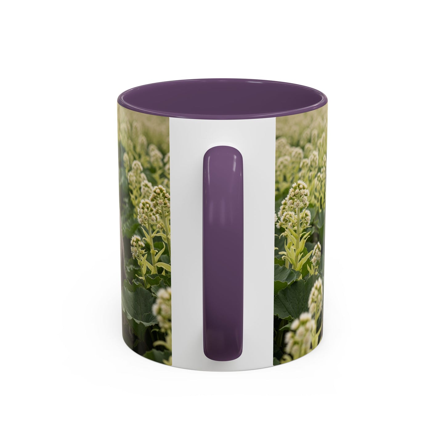 Mug à café avec motif Schnauzer standard - Cadeau idéal pour les amoureux des chiens