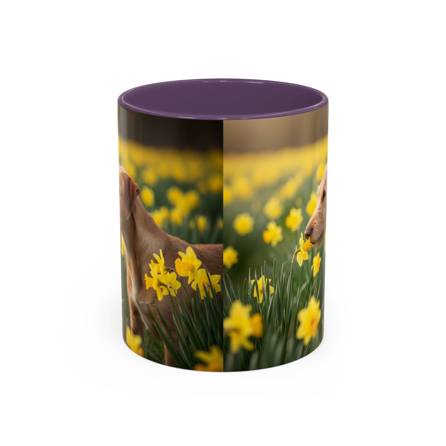 Mug à café avec motif Podengo Pequeno portugais - Cadeau idéal pour les amoureux des chiens