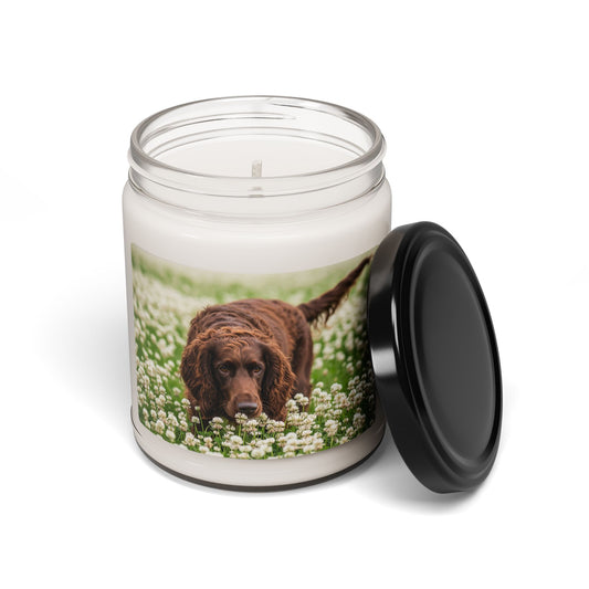 Irish Water Spaniel- Scented Soy Candle, 9oz