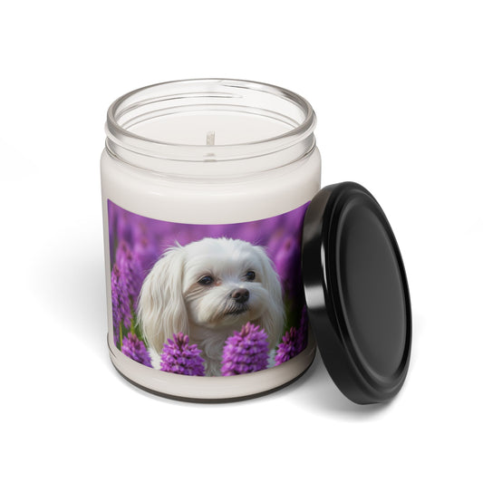 Maltese- Scented Soy Candle, 9oz