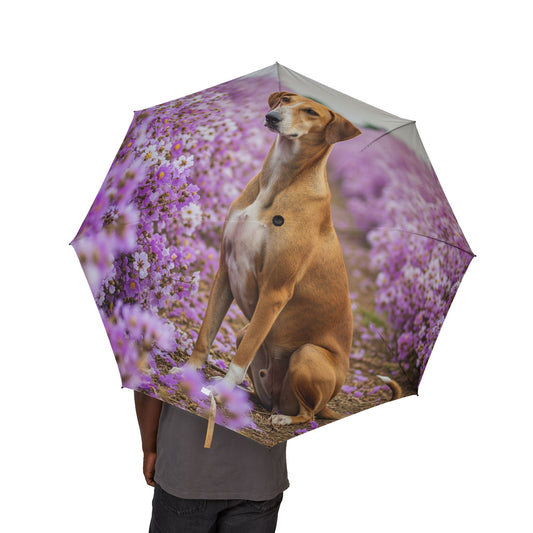 Banjara Hound Semi-Automatic Foldable Umbrella