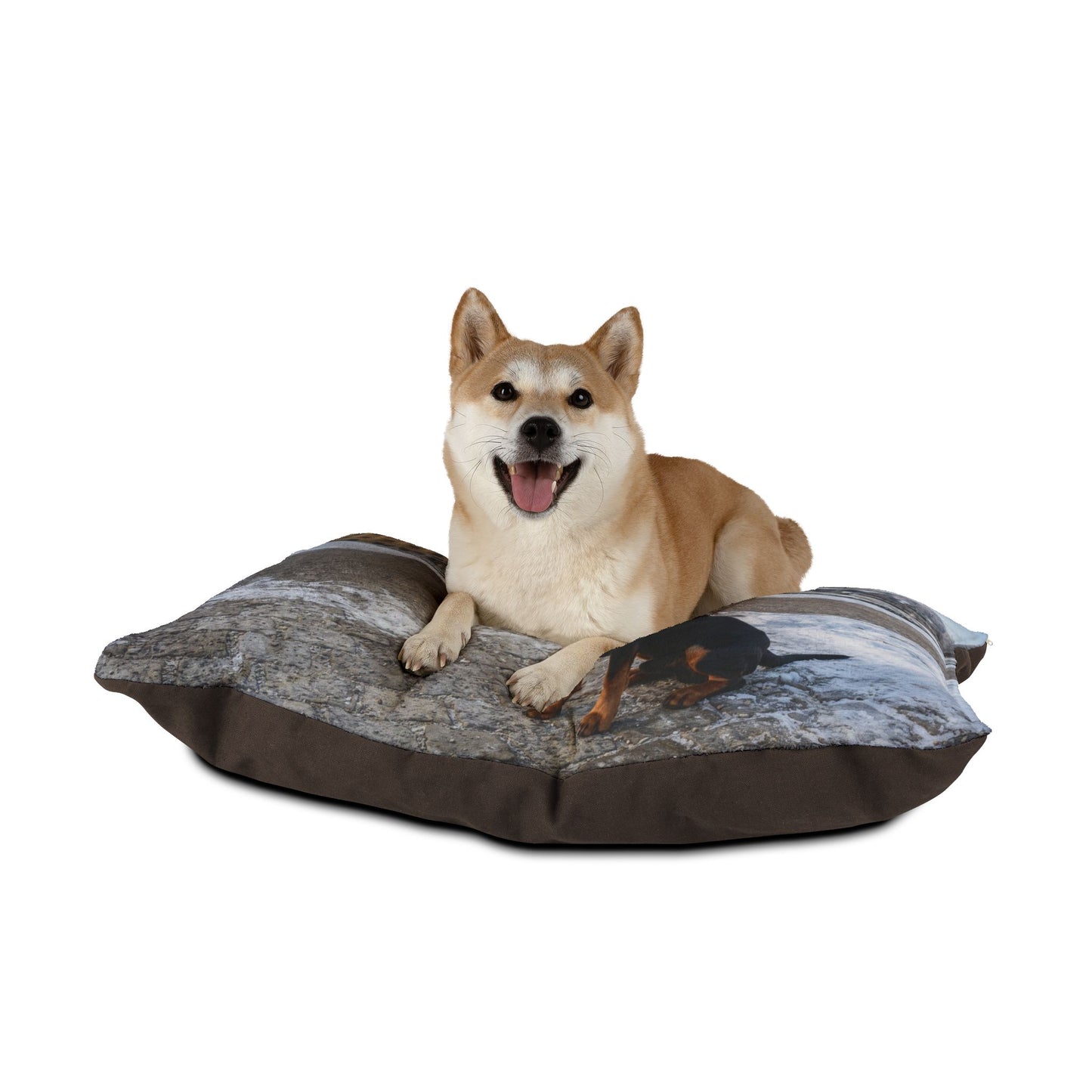 Austrian Black and Tan Hound Pet Bed