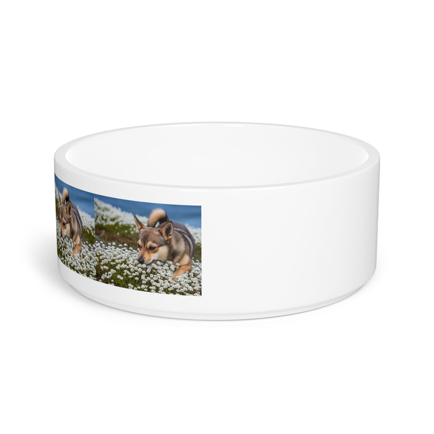Norwegian Lundehund Pet Bowl