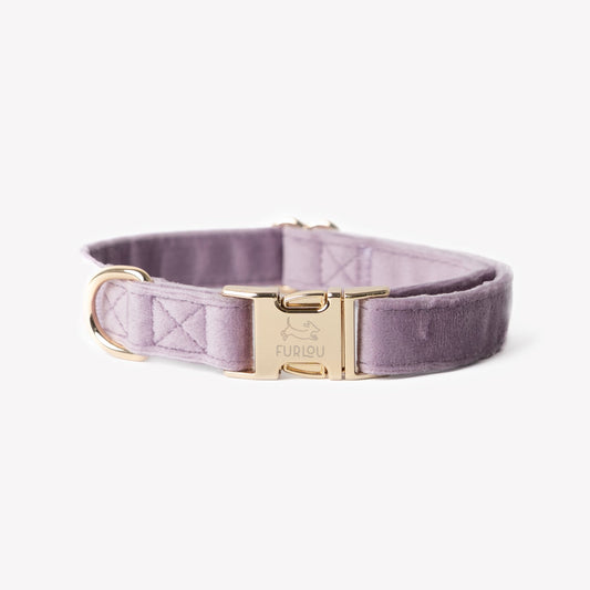 Collier pour chien en velours « Lilas »
