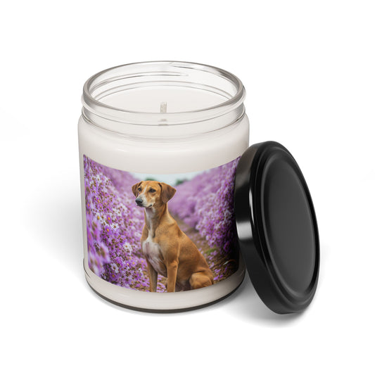 Banjara Hound- Scented Soy Candle, 9oz